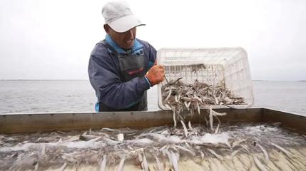 金秋龍江慶豐收，魚米滿倉(cāng)振三農(nóng)——寫在中國(guó)農(nóng)民豐收節(jié)