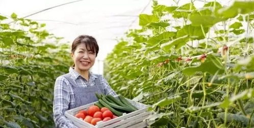 三產融合，共贏未來 如何將休閑農業、鄉村旅游與有機農產品種植打造成最佳營銷組合